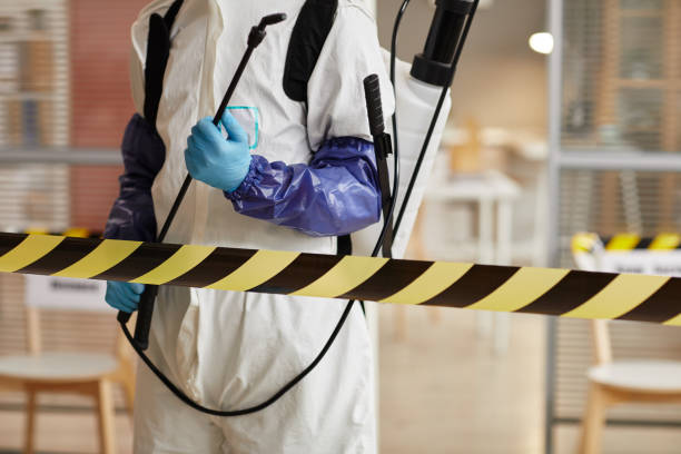 Professional Hoarding Cleanup technician working in Somerset, TX